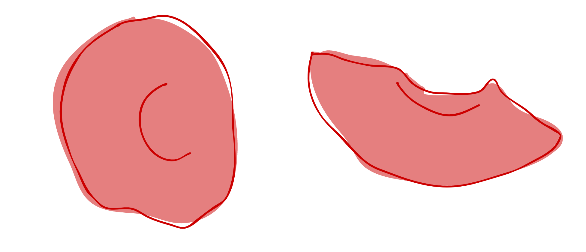 Amino Acid Notation – Eightfold